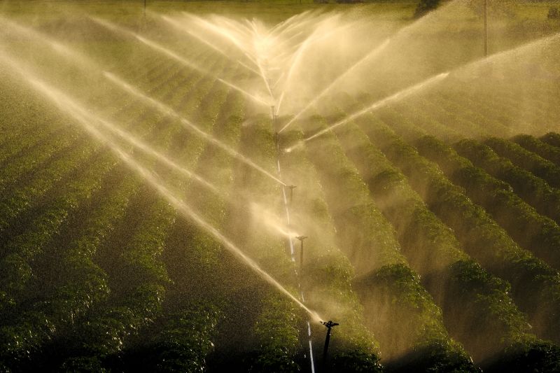 Watering System Installation Service