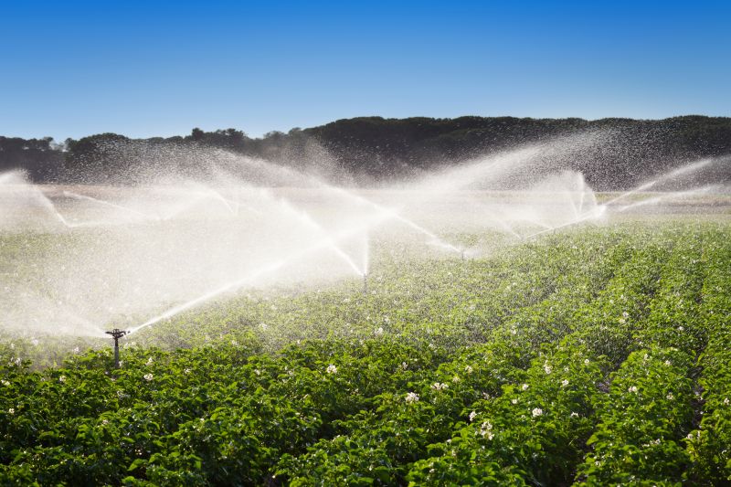 Commercial Irrigation Service in Honolulu, HI