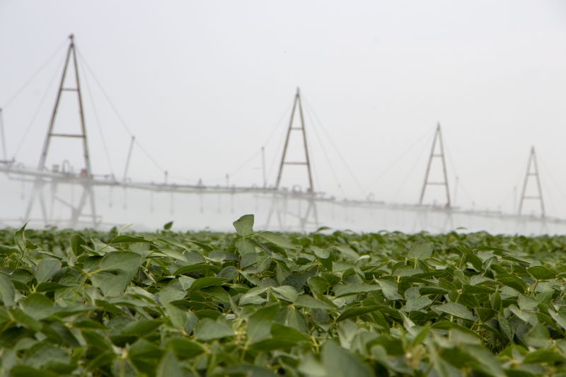 Irrigation Installation