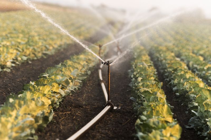 Automated Irrigation Controllers