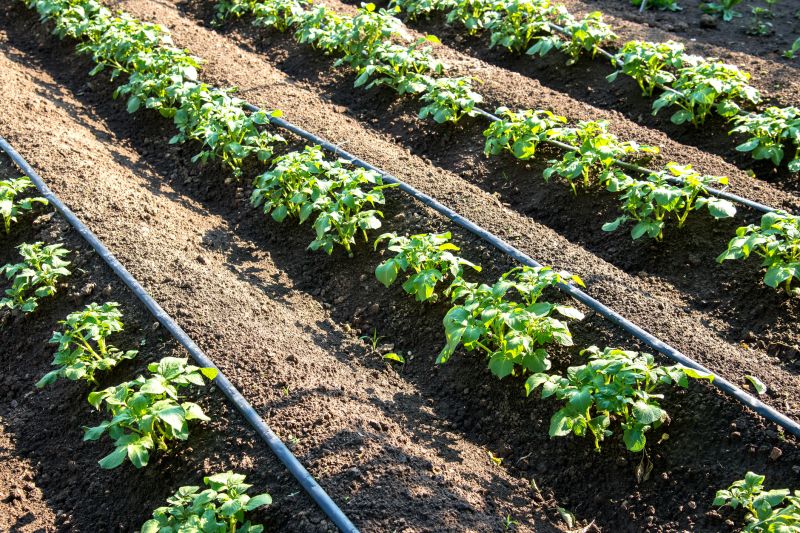 Drip Irrigation Systems