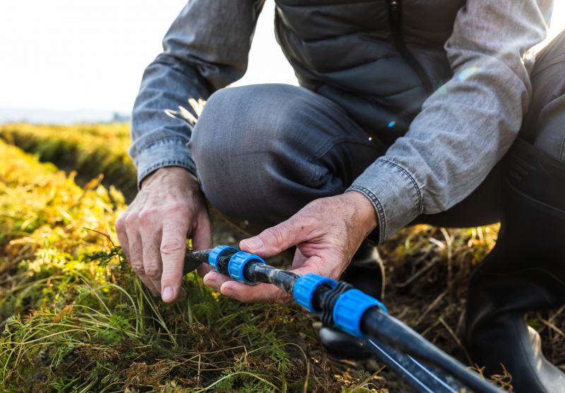 Irrigation System Maintenance